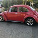 1967 Volkswagen Beetle - daily driver