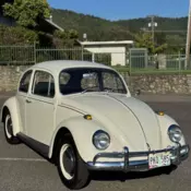 1967 volkswagen bug beetle
