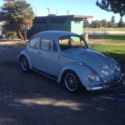 1967 Volkswagen EMPI Beetle 1.6 DP