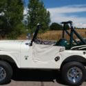 1967 Willys Jeep