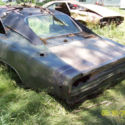 1968 Charger RT and 1968 Charger 318 car
