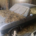 1968 CHEVY CORVAIR COUPE 68 TELESCOPING COLUMN WOOD WHEEL IOWA BARN FIND 67 69