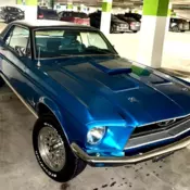 1968 Ford Mustang "C" Code in amazing condition inside and out! Upgraded 289-V8!