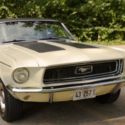 1968 Ford Mustang Coupe 1 of 1 for 1968, 302 V8, Framed Marti Report to Buyer