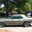 1968 Ford Mustang Elanor Tribute