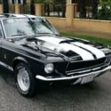 1968 Ford Mustang Shelby Tribute - Low Reserve