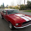 1968 Ford Shelby mustang GT-500 Tribute