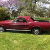 1968 Mustang Mustero pick up