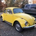 1968 Volkswagen nettle