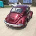 1968 VW Beetle with Pop-out windows.  Restored, Rust-free, Excellent Condition.