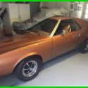 1969 AMC AMX 390 V8 Gasoline Engine 4-Speed Automatic Mostly Original VIRGINIA