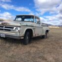 1969 D 100 stepside