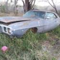 1969 Firebird rusty shell project