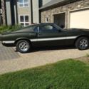 1969 Ford Mustang - Original Shelby GT350