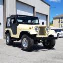 1969 Jeep CJ-5 255 CI  Manual 3-Speed 4WD V6 Other Gasoline