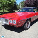 1969 Pontiac Firebird Convertible *****NO RESERVE!!*****
