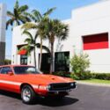1969 SHELBY GT500 - RARE COLOR - FULLY RESTORED - AMAZING CONDITION
