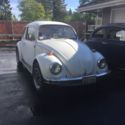 1969 standard vw beetle classic