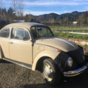 1969 Volkswagen Sedan-  Too Cute!  To benefit Project Patch