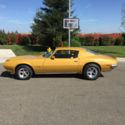 1970 1/2  Firebird Formula (clone)