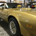1970 1971 1972 1973 1974 1975 1976 1977 1978 1979 1980 Pontiac Firebird Trans Am