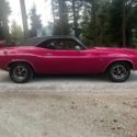 1970 Dodge Challenger 340 4 speed Panther Pink