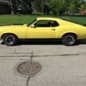 1970 Mustang Fastback Mach 1 Clone