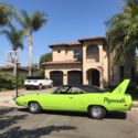 1970 superbird