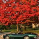 1971 Chevrolet Corvette Stingray Convertible 1 owner car