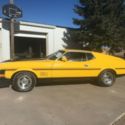 1971 Ford Mach 1 Mustang