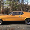 1971 Ford Mustang Fastback MACH 1