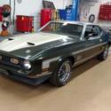 1971 Ford Mustang Mach I Fastback 2-Door 7.0L