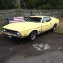1971 Mustang Fastback Great Parts Car or possible restoration