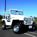 1971 VW &#034;VEEP&#034; Willy&#039;s style Jeep Volkswagen Kit car 1600cc IRS Spring-time FUN!