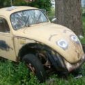 1972 Biggest Rust Bucket Beetle
