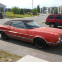 1972 gran torino (Buy it now ending on thursday)