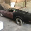 1972 mustang fastback Mach 1 ram air 1 of 1677 produced. Deluxe  Marti Report