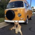 1972 VW Bus Camper Hightop