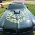 1973 Brewster Green Pontiac Trans Am