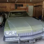 1973 Buick Electra Green