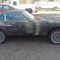 1973 Datsun Z-Series 240z Rolling Shell, Project body minimal rust.