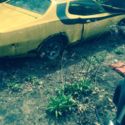 1973 Dodge Charger parts car