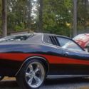 1973 Dodge Charger Sportscar Black RWD Automatic