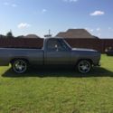 1973 Dodge D100 truck