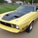 1973 FORD MUSTANG  60,143 Miles  5.0 lter   MANUAL TRANSMISSION STUNNING COLOR!