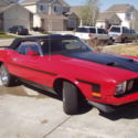 1973 ford mustang convertible Mach One Tribute