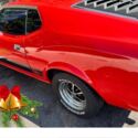 1973 Ford Mustang GREAT PRICE! - FASTBACK MACH 1 TRIB