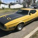 1973 Ford Mustang MACH 1 351 CLEVELAND FASTBACK