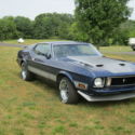 1973 Ford Mustang Mach 1 Fastback 5.8V