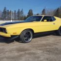 1973 Ford Mustang Sportsroof ( Original Elenor Tribute Restomod)